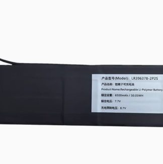 LR396378-2P2S